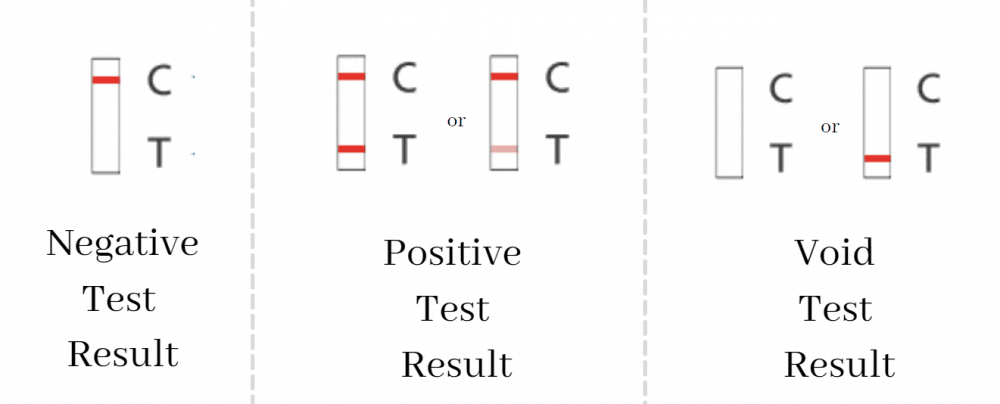 What Are Lateral Flow Tests And How Do They Work The Speaker